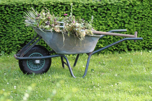 Comprehensive yard cleanup services for a pristine lawn